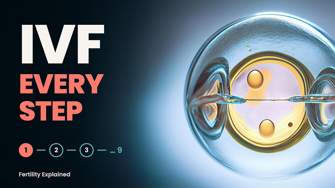 Video thumbnail: IVF, every step